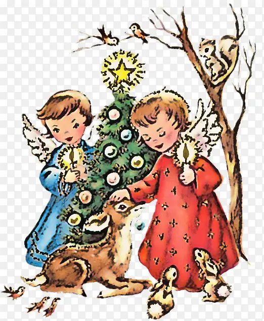 ��ͨ �� ֲ��-������