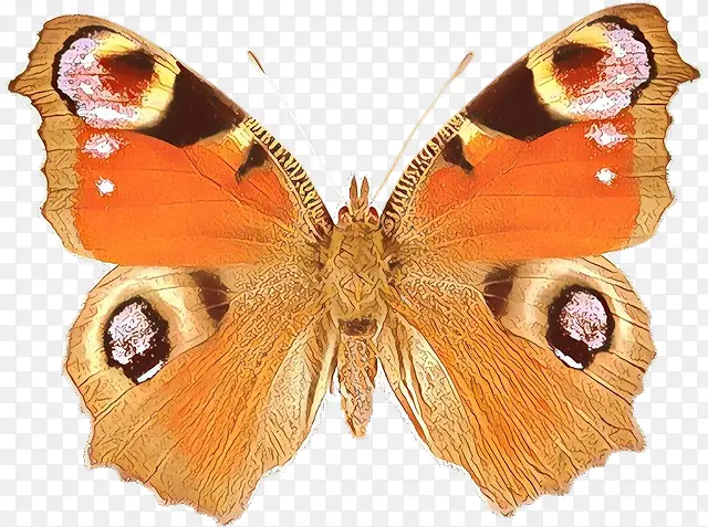 �ɶ�ͺ��� ���� ����-������