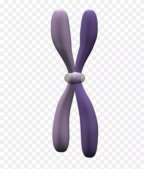 ������޹�²���Ϣ����-������