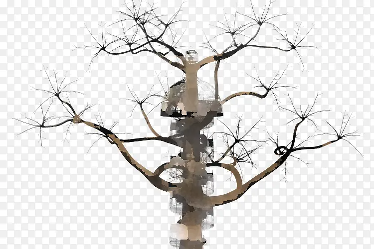 ��ľ ��֦ ϸ֦-������