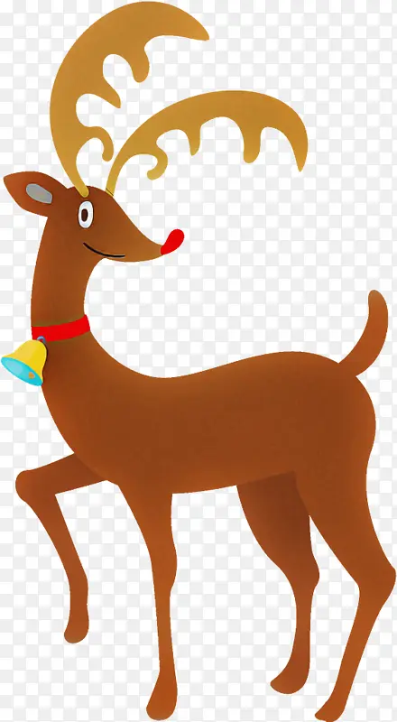 ѱ¹ ʥ����ѱ¹ ʥ����-������