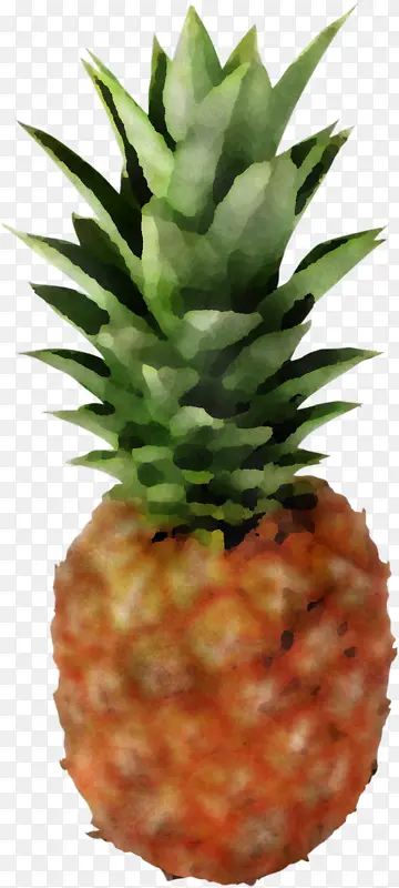 ���� ʳƷ ֲ��-������