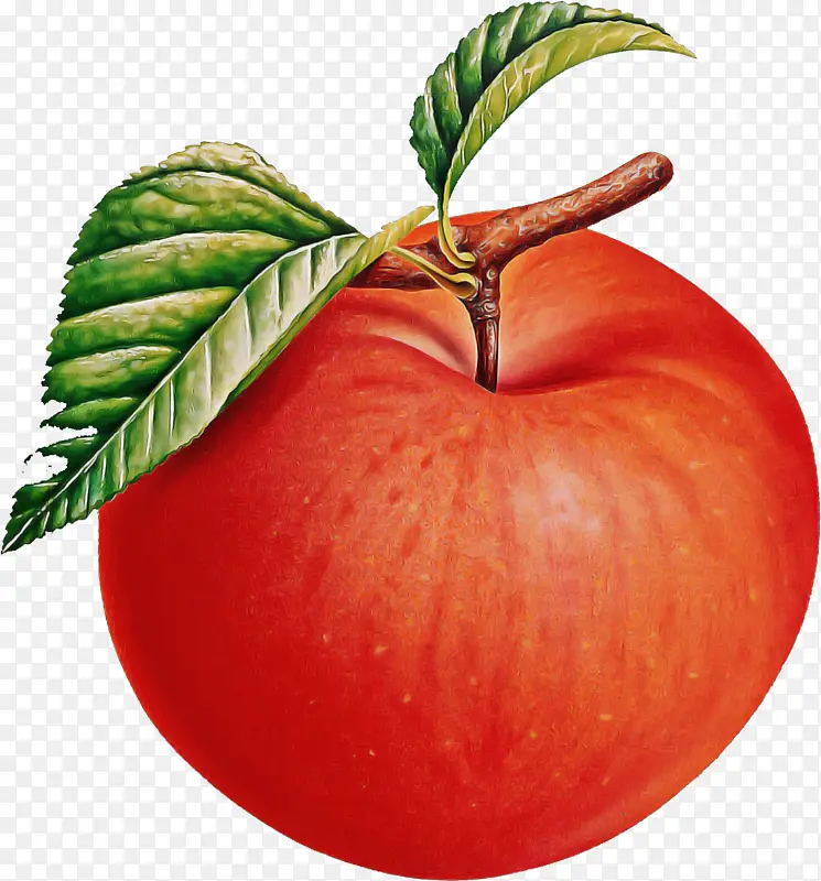 ��ȻʳƷ ˮ�� ֲ��-������