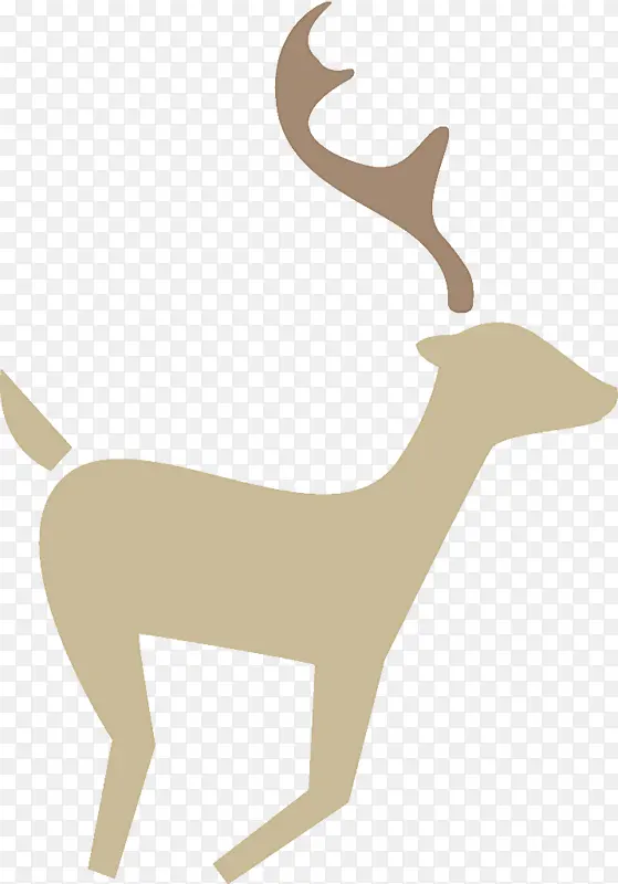 ѱ¹ ʥ����ѱ¹ ʥ����-������