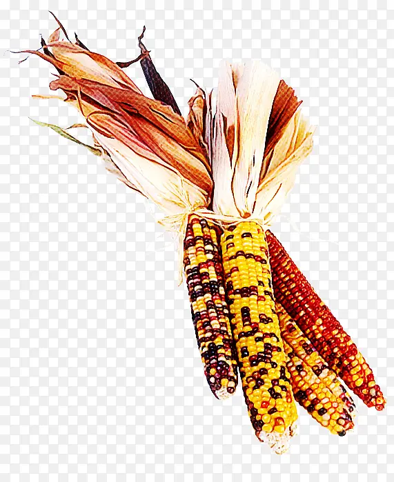 ��ɫ ��ɫ ��ë-������