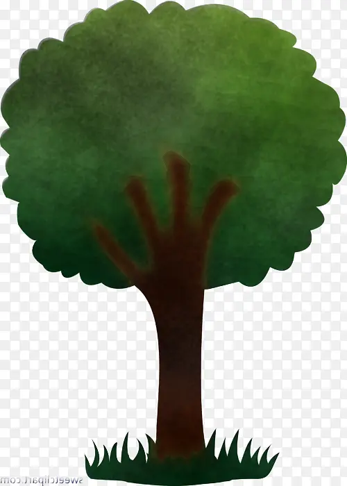 Ҷ�� �� ֲ��-������