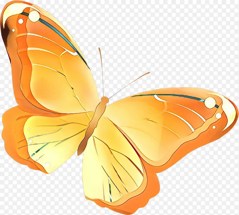 ���� �ɶ�ͺ��� ����-������