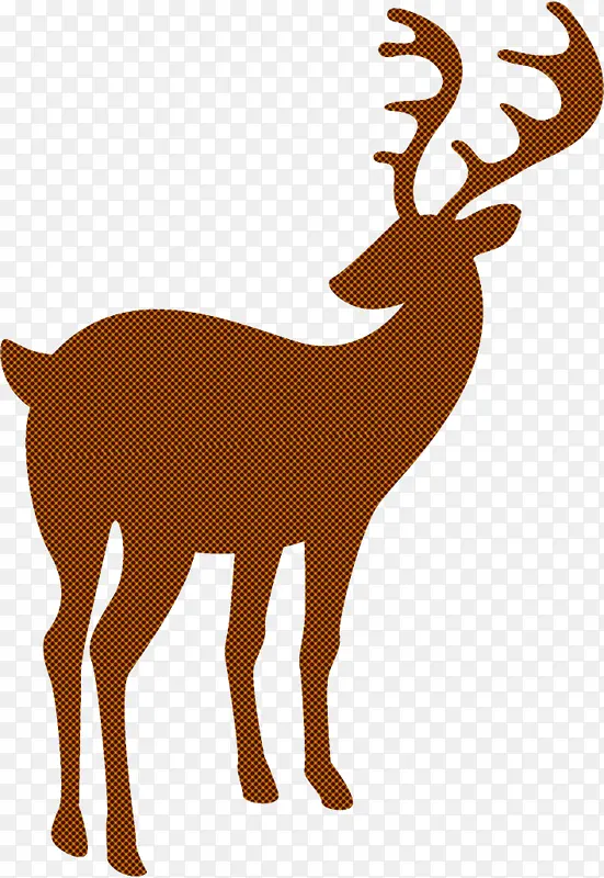 ѱ¹ ʥ����ѱ¹ ʥ����-������