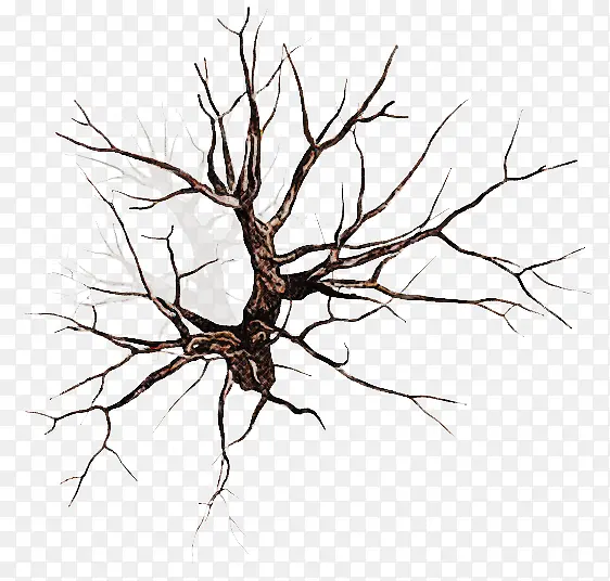 ��֦ �� ֲ��-������