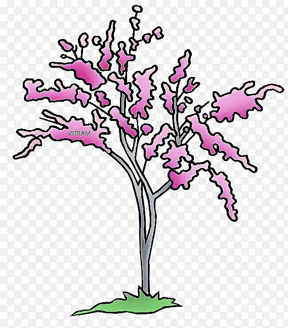 ��֦ �� ֲ��-������