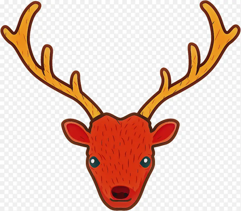 ѱ¹ ʥ����ѱ¹ ʥ����-������