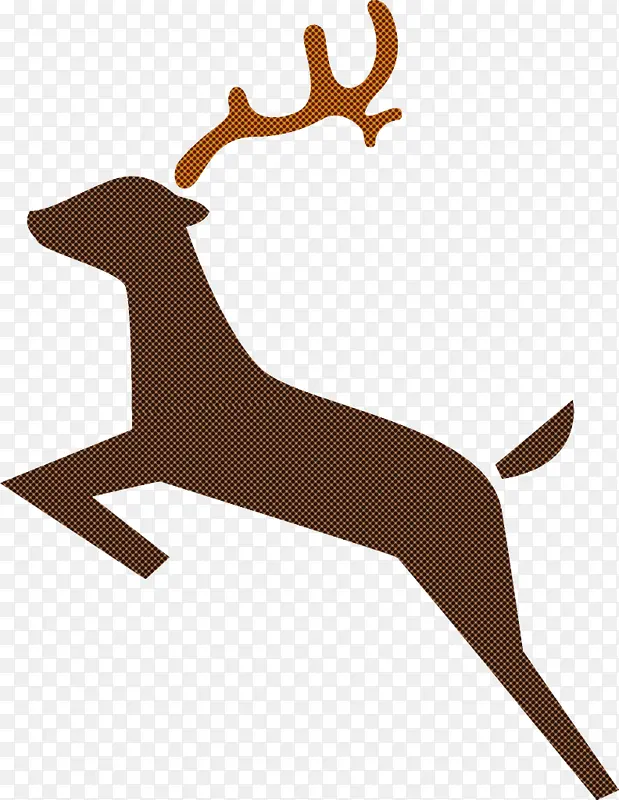 ѱ¹ ʥ����ѱ¹ ʥ����-������