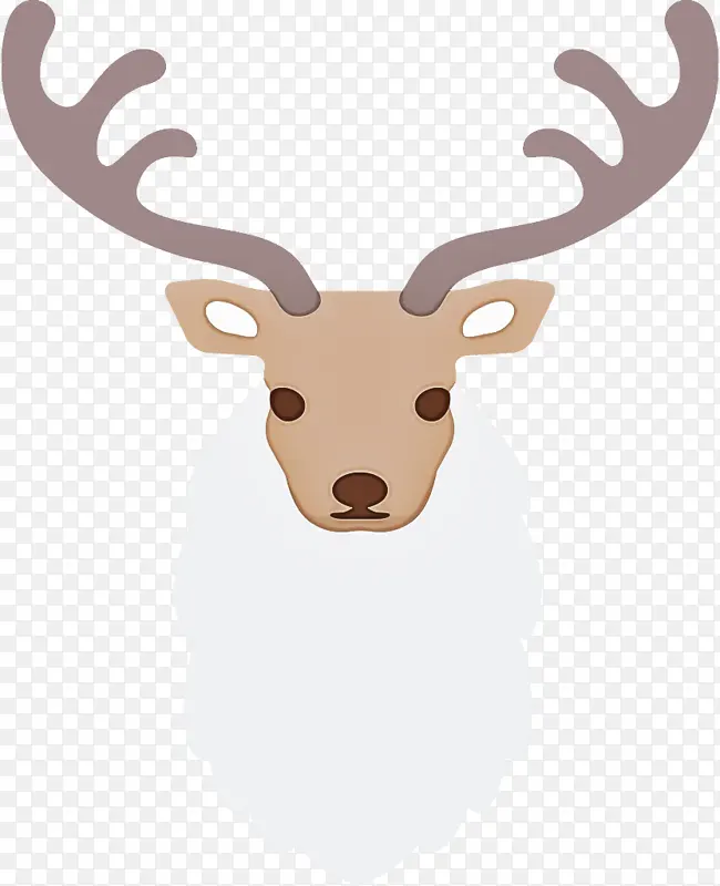 ѱ¹ ʥ����ѱ¹ ʥ����-������