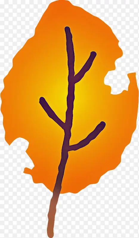 ���Ҷ ��Ҷ ��ɫ-������