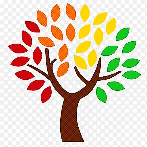 Ҷ�� �� ֲ��-������