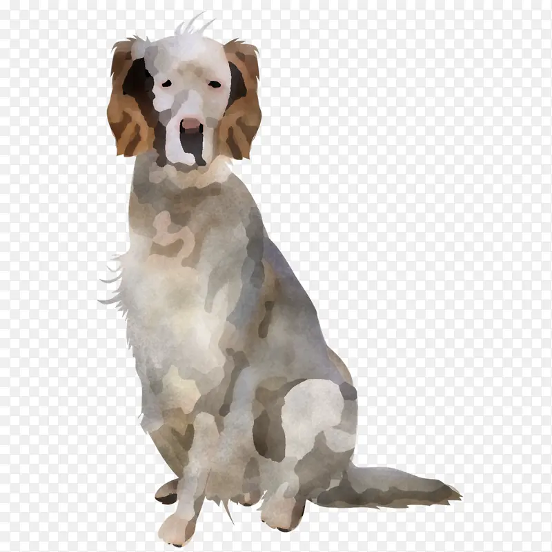 �� �˶����� С����-������