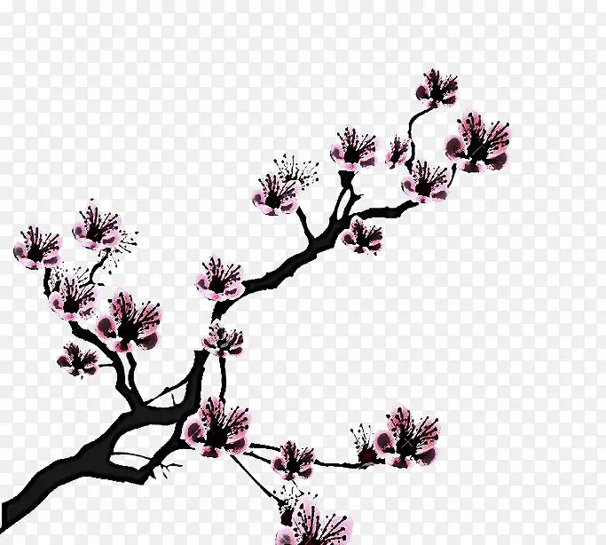 �� ֲ�� ��֦-������