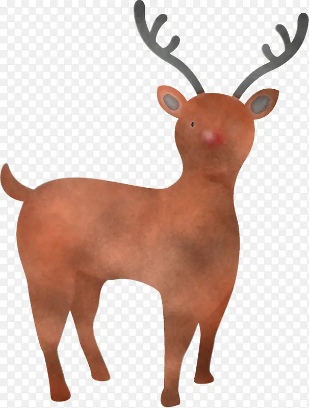 ѱ¹ ʥ����ѱ¹ ʥ����-������