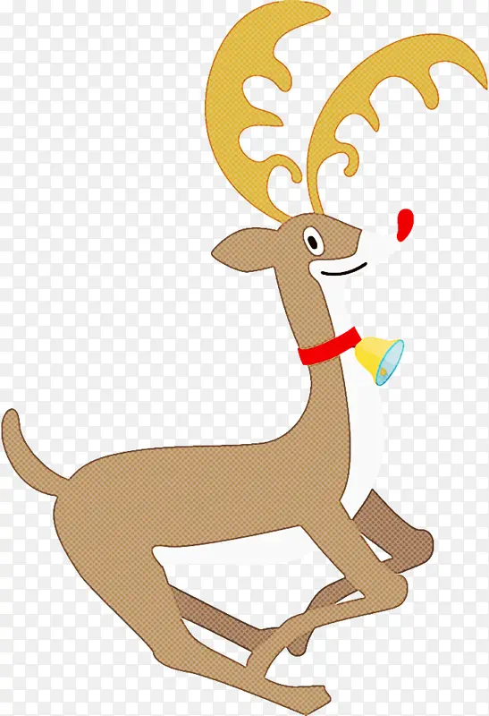 ѱ¹ ʥ����ѱ¹ ʥ����-������