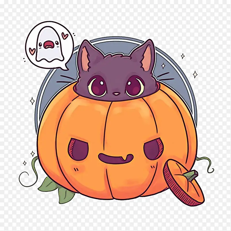 ��ͨ ��ɫ �ڱ�-������