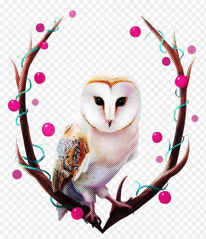 èͷӥ �� ��֦-������