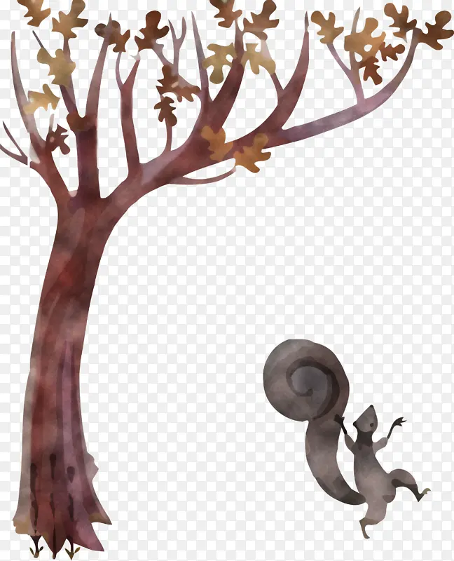 �����Ҷ�� Ҷ�� ��֦-������