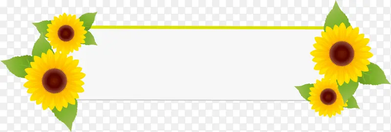 ���տ����ο� ���ο� ����-������