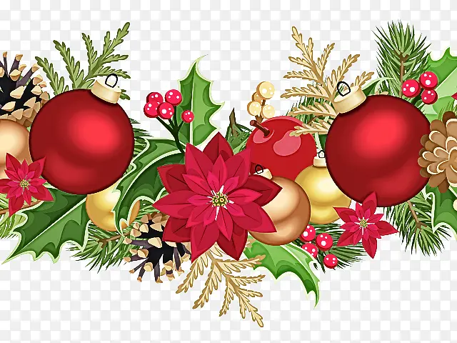 �ɹ���Ʒʥ��װ�� ֲ�� ��֦-������