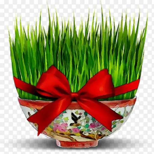 ˮ�� ���� ʪī-������