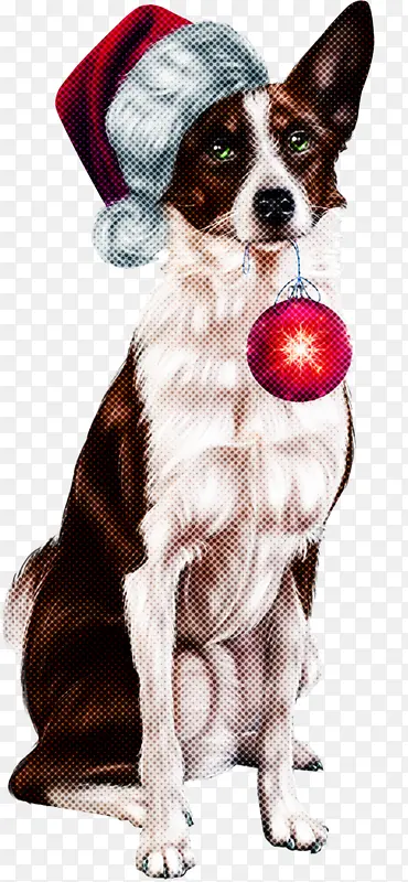 �� �߾�����Ȯ �˶�����-������