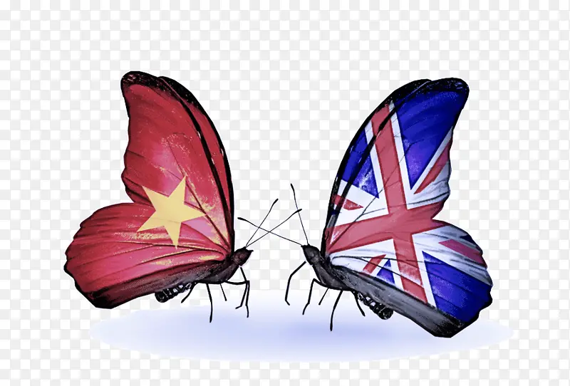 ���� ���� ���-������