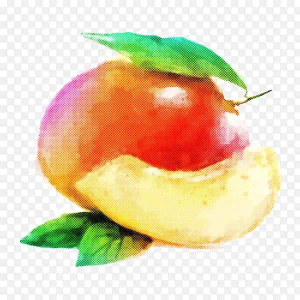 ʳ�� ˮ�� ֲ��-������