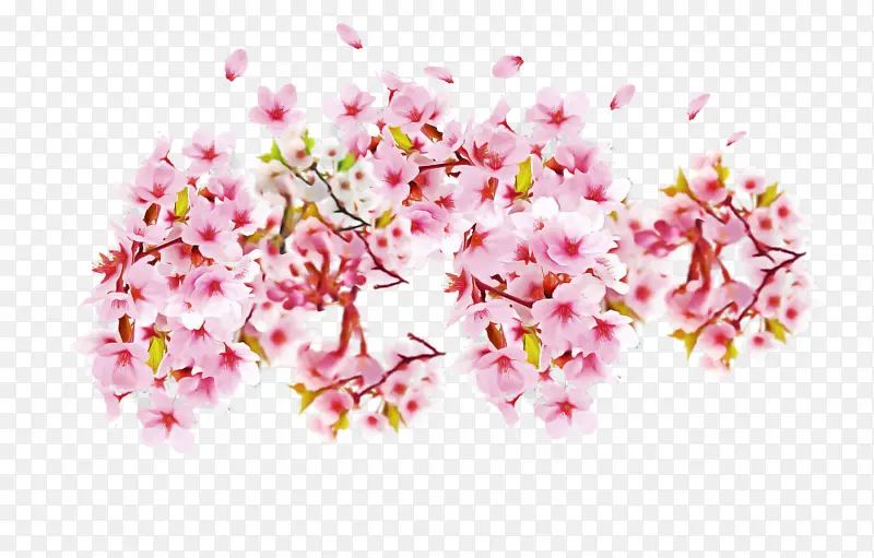 ��ɫ �� ֲ��-������