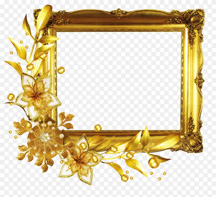 ��ɫ ��� ������-������