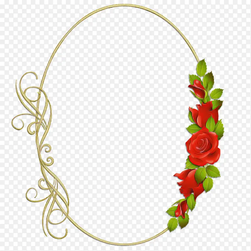 ���� �鱦 ֲ��-������