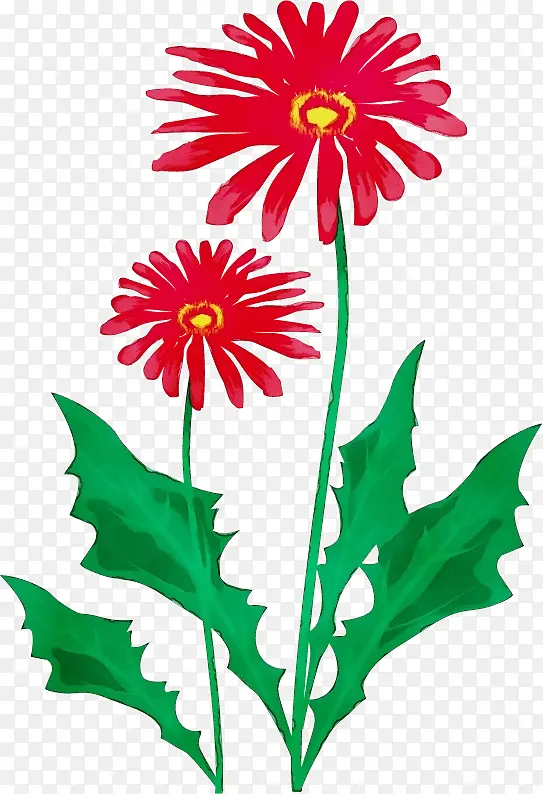 ˮ�ʻ� ���� ʪī-������