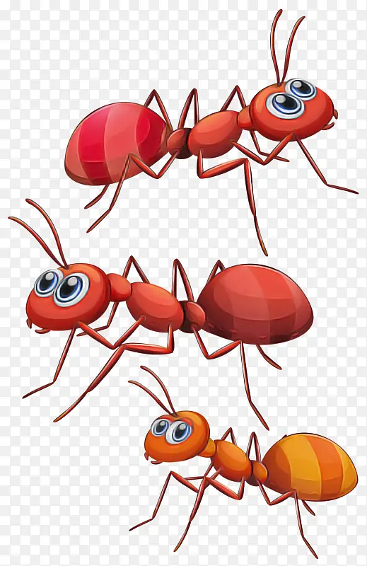 ���� ���� ����-������