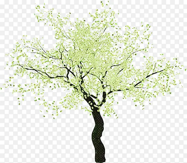 �� ֲ�� ��֦-������