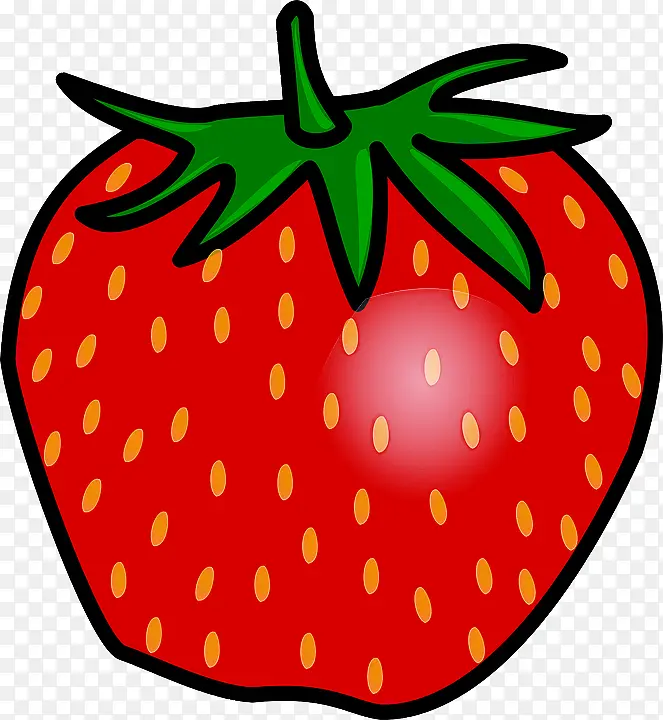 ֲ�� ˮ�� ��ݮ-������