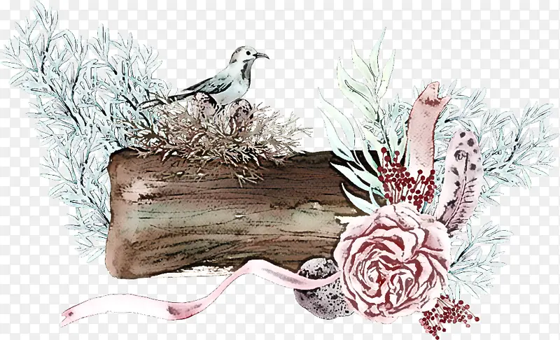 �� ��֦ ��-������