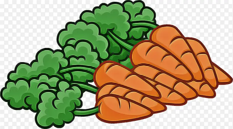 Ҷ ֲ�� Ҷ���߲�-������