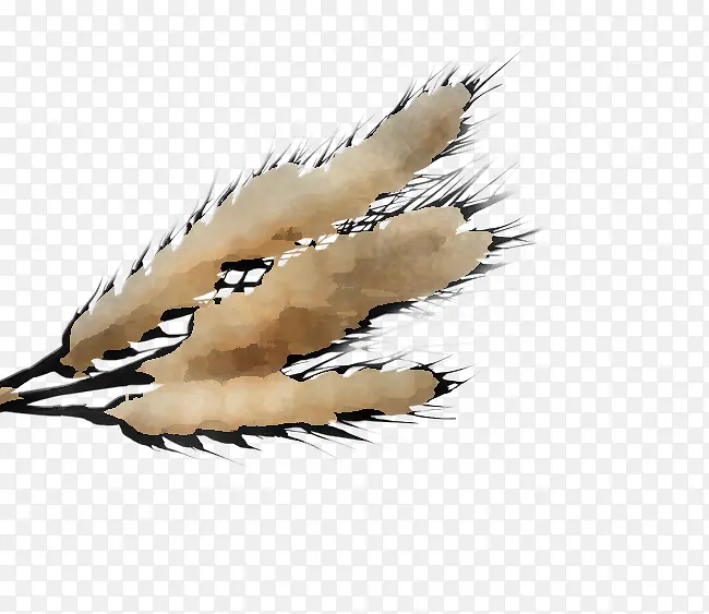 ��ë ��� ��ɫ-������