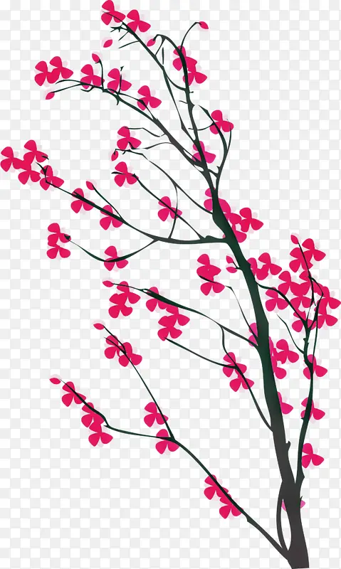 ӣ�� ��֦ ��-������