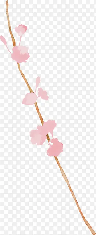 �ۺ�ɫ �� ӣ��-������