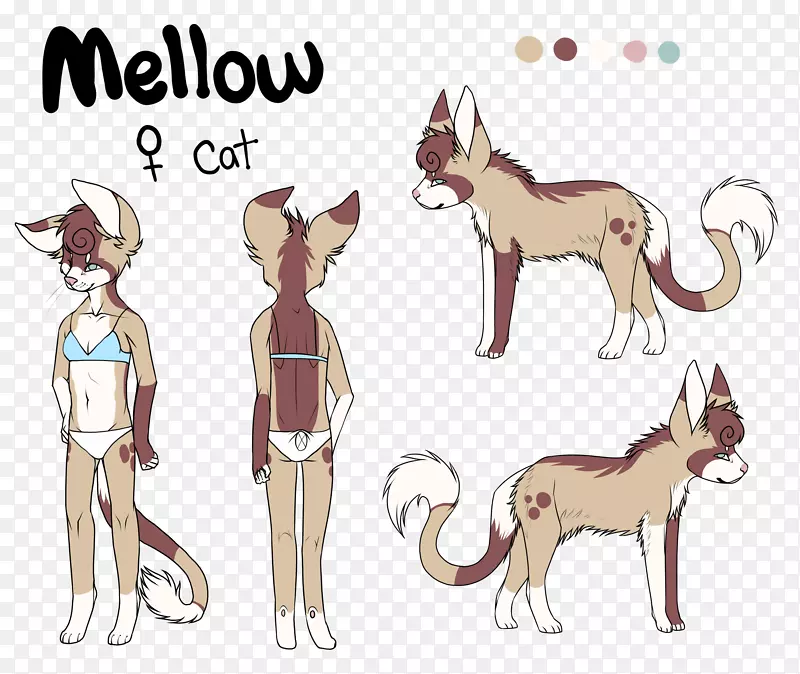 ������è������è��-���ڿ˺���-������