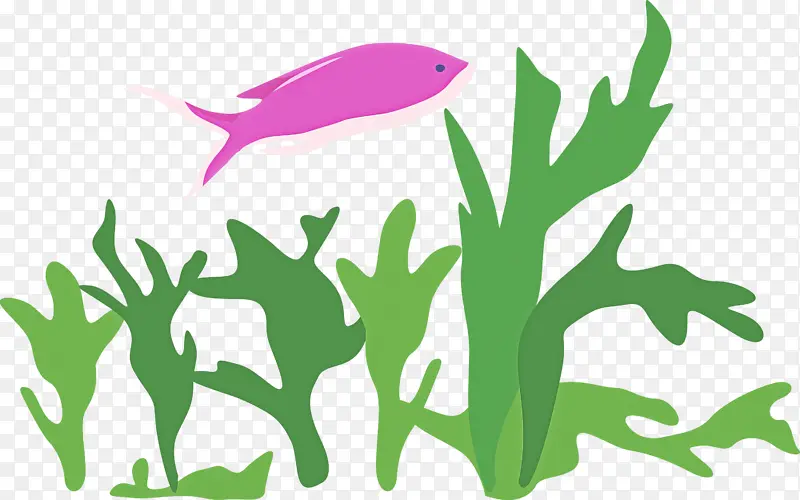 �ɹ���Ʒ���� ��ɫ ��-������