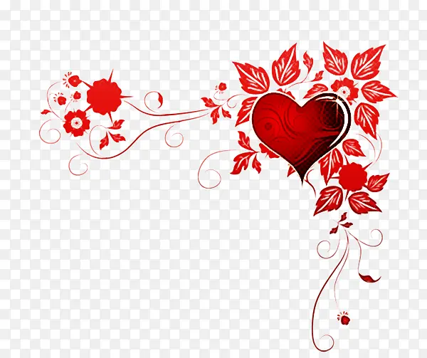 ���� ��ɫ ����-������