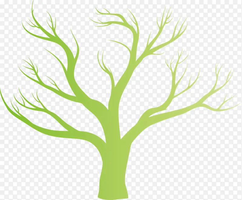 ��ɫ ֲ�� ��-������