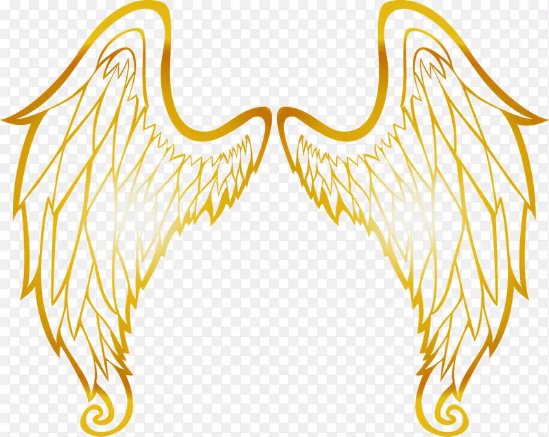 ��� ���� �ǳ��-������