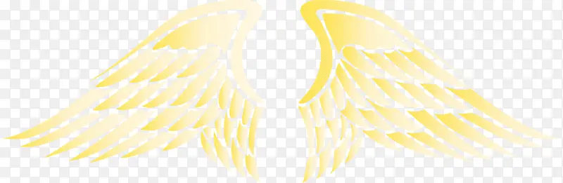 ��� ���� �ǳ��-������